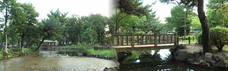 平手政秀邸址のある志賀公園。昭和９年完成の志賀公園は戦前市内では鶴舞、中村と並ぶ 老舗公園でした。名城公園（旧第三師団錬兵場）、白川公園（市街地で戦災後一時期占領 軍家族の住宅）、庄内緑地公園（河川敷で桑の木畑）など大型公園は戦後設立です。