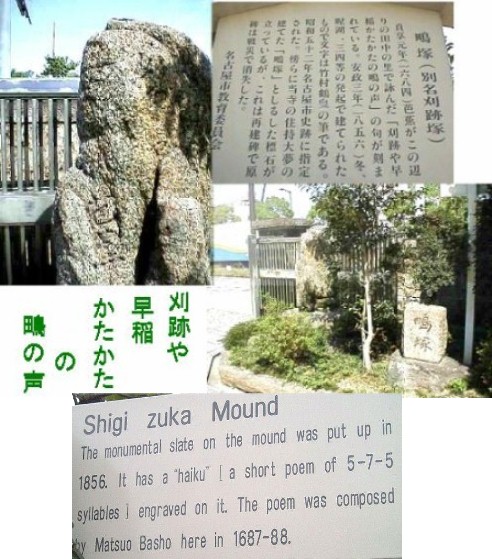 刈跡や早稲かたかたの鴫の声　芭蕉
