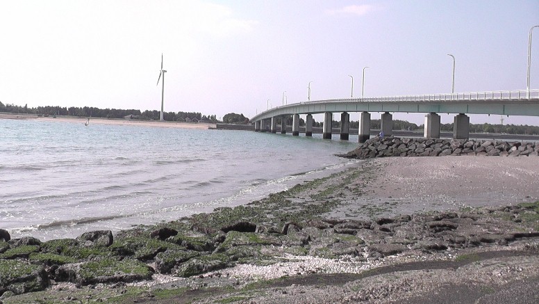 愛知・３８市史跡・社寺めぐりー知多市(その１) 春の新舞子の海辺を散歩する 人形塚。新舞子駅前踏切横にあります。 春の新舞子の海辺を散歩する 第1部 第2部 新舞子マリンパークのドッグランコース（左）。 ブルー・サンビーチ海岸風景。 新舞子