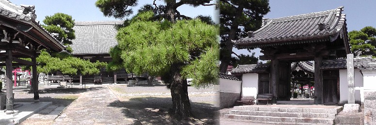 真如寺。リンク： 真如寺