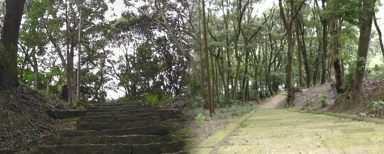 仁王門から真福寺本堂へ行く石階段。途中休憩場所で右：下方を撮る。