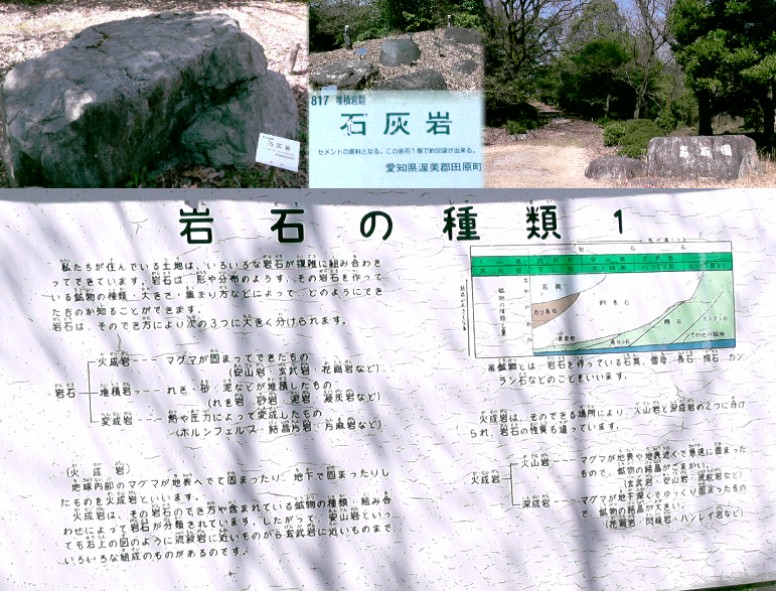 写真上左の石灰岩一個でセメント50袋採取できると記されています。 岩石の種類2 右上は岩石園入り口。