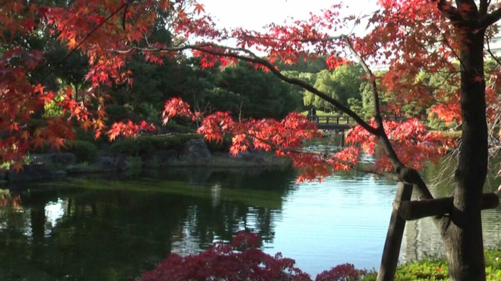 白鳥庭園特集（その１）