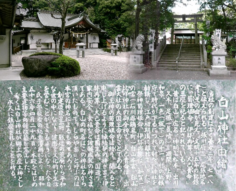 白山（しらやま）神社。円福寺北に鎮座されています。 白山（しらやま）神社