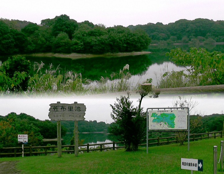 佐布里池の風景3。 佐布里池の風景3, 撮影場所