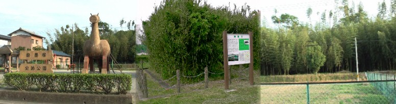 史跡：磨墨塚公園。右の手前小さな竹林が磨墨塚。奥の広い竹林は羽黒城址。次回犬山市へ続く