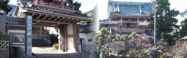 称円寺:真宗大谷派、大野光明寺の末寺。創建年は不詳。正中2年(1325年)には七堂伽藍を数え、 塔頭も16か寺を数えた。天正2年(1574年)10月、3世西信が石山合戦に参戦のため留守にしている 間、信長の家来土方治兵衛の来襲を受け、本坊が