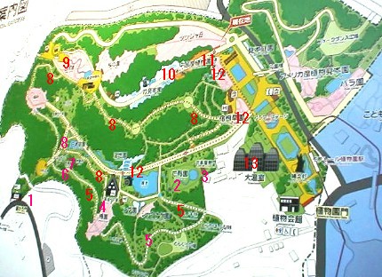 植物園案内図