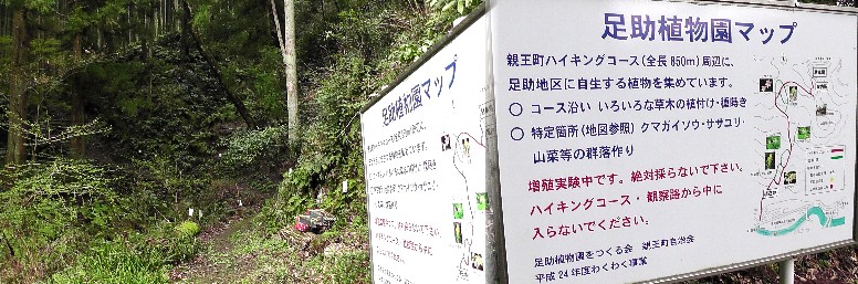 親王町ハイキングコース。 親王町ハイキングコース（推測）