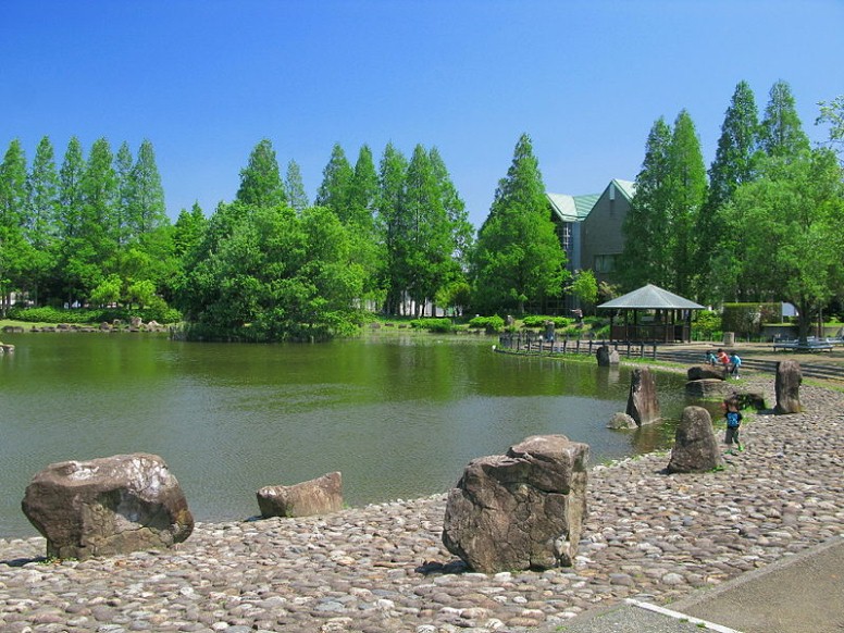 春日部市庄和総合公園の修景池（埼玉県春日部市）。 庄和総合公園。 公園ぶらり散歩 埼玉 春日部・庄和公園 庄和総合公園