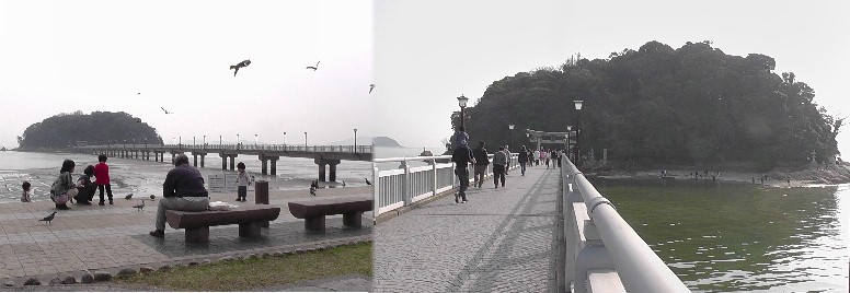 竹島海岸より竹島を撮る。