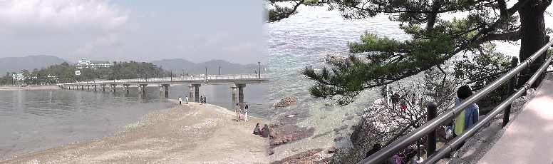 竹島南端・龍神岬（右）の松。左は竹島橋。 竹島南端・龍神岬