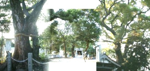 史跡コース