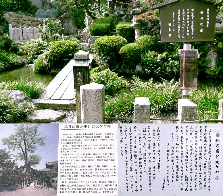 垂井の泉。 説明文拡大 グーグルマップ垂井の泉/平塚為広居城跡 。