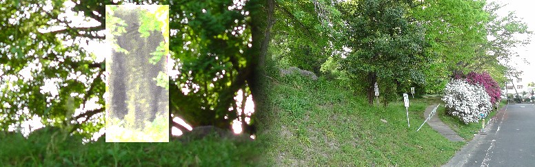 寺部城址の大きな石碑(左、写真不明ごめんネ)。右は城址入り口。ウイキペデイアリンク: 寺部城址