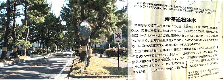 知立宿へ入る手前、国道１号線を斜めに横切る街道の両側にある松並木です。