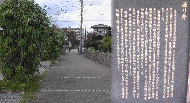 通り井。
