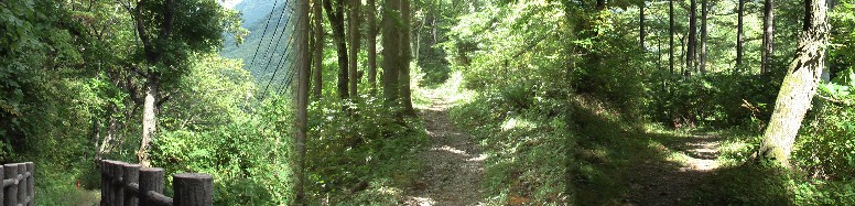 葬沢から鳥居峠一里塚跡の間の中山道風景３景。この間で初めて下山の三人パーテイに出会う。 思わず挨拶を交わす。こういう場所での人懐かしさ、恋しさは格別のものです。内心季節も良い のでもっと多くの人と行き交う（妻籠宿～馬籠宿のように）と期待して