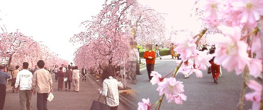 過去分no.3（平成１３年4月から6月まで）