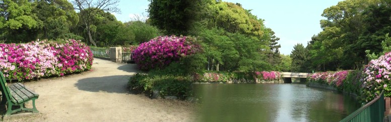 御深井池畔。