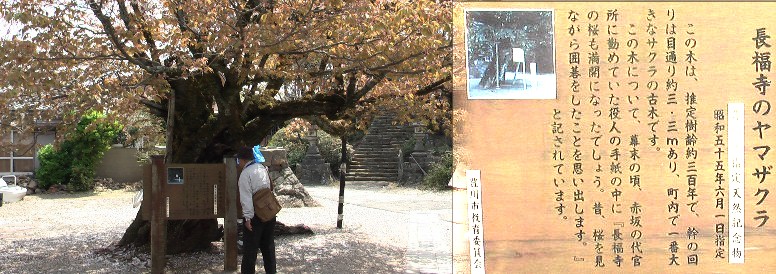 赤坂宿付近の寺院