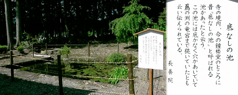 長養院境内。