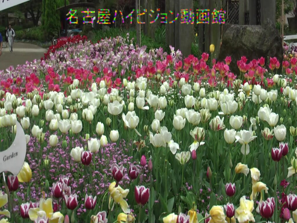 名城公園駅周辺案内（季節を味わう）