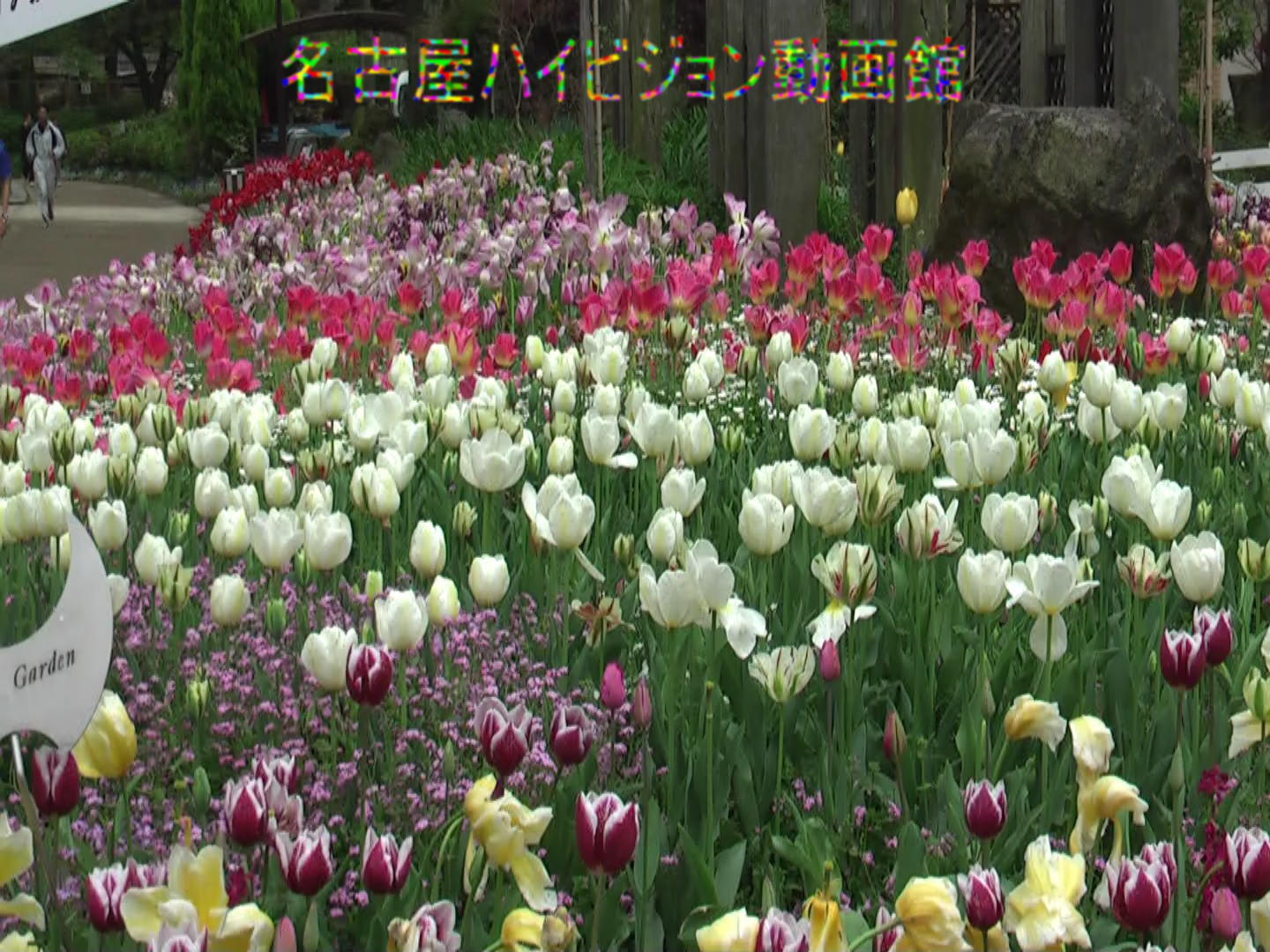 名城公園フラワーセンター付近