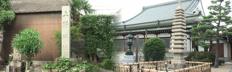 上野城址がある永弘院。本尊 薬師如来は聖徳太子の彫りと傳えられる。 永弘院ホムページ リンク：帝國博物学協会 城郭研究部