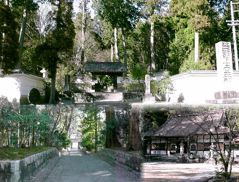 雲興寺山門（上）。下左参道。右本堂。 雲興寺 雲興寺