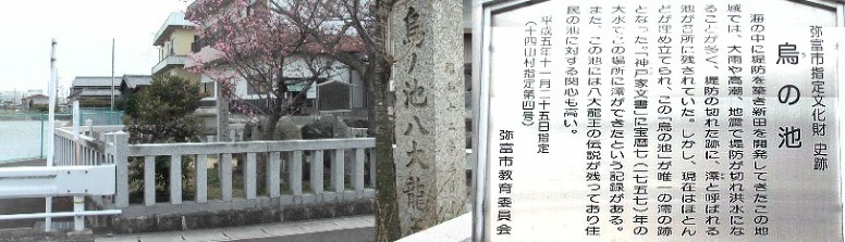 秋葉堂のななめ向かい側にあります。。