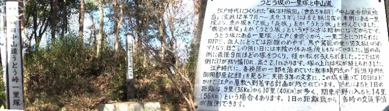 うとう峠一里塚。 市教委の説明拡大 うとう峠一里塚