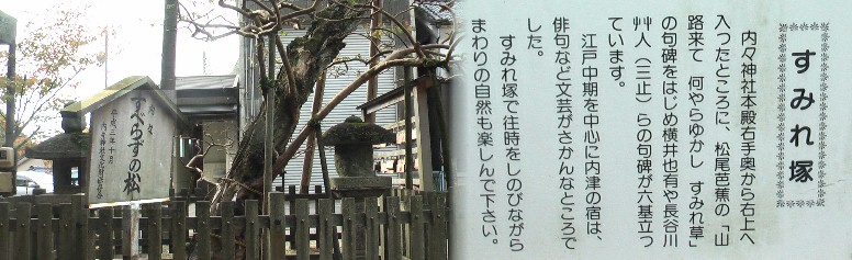 「すべらずの松」（左）とすみれ塚の案内板。近年、受験にすべらずとかで入学祈念の札が 沢山見られます。