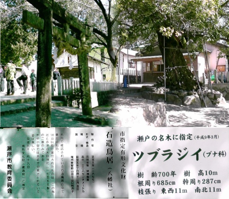 山口八幡社境内。