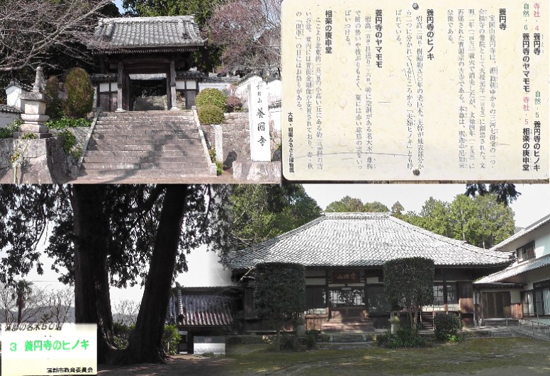 養円寺。 養円寺