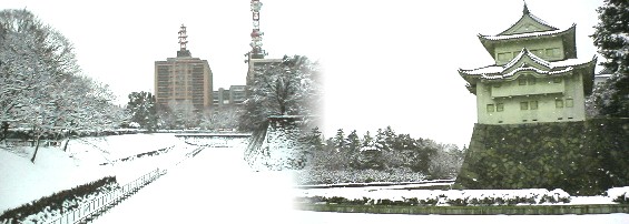 41年ぶり雪の名古屋城(その2) 二の丸東外堀と市西庁舎(左)と西南櫓(重要文化財) 名勝二之丸庭園(左)と二之丸東庭園 二之丸御殿跡と前庭 天守閣東の御殿椿(左)と二之丸庭園北から外堀、名城公園を見る 西北櫓、真冬のたたずまい(ムービー、