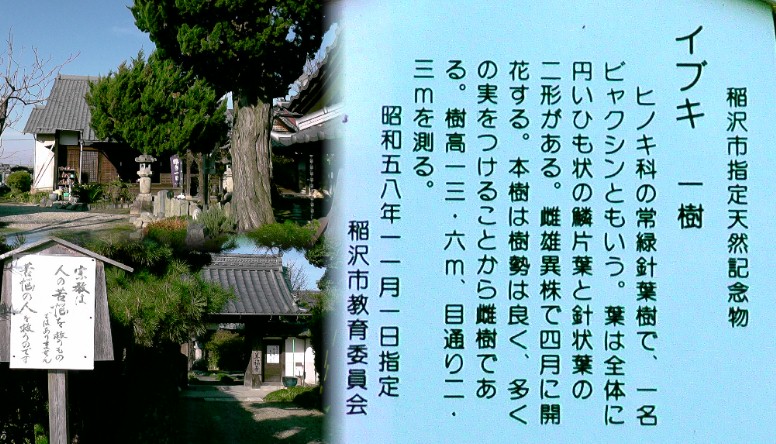 善福寺。 善福寺/八剱社